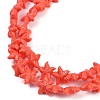 Synthetic Coral Dyed Carved Beads Strands CORA-K009-06B-01-3