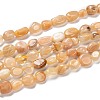 Natural Sunstone Beads Strands G-G018-18B-1