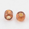 8/0 Glass Seed Beads X2-SEED-A005-3mm-53-2
