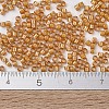MIYUKI Delica Beads SEED-X0054-DB1778-4