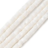 Natural Freshwater Shell Beads Strands SSHEL-C013-04B-1