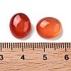 Dyed & Heated Natural Carnelian Cabochons G-G145-01A-23-3