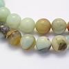 Natural Flower Amazonite Beads Strands G-G697-F06-6mm-3
