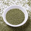 MIYUKI Delica Beads SEED-MY11-DB2124-2