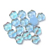 Cat Paw Print Resin Cabochons FIND-CJC0015-21A-2