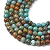 Natural HuBei Turquoise Beads Strands G-H358-A09-3mm-01-4