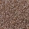 MIYUKI Delica Beads Small X-SEED-J020-DBS0102-3