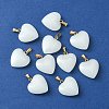 Imitation Jade Glass Pendants GLAA-YW0003-01B-1