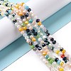 Glass Beads Strands GLAA-E036-05C-2