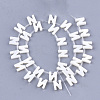 Natural Freshwater Shell Beads SHEL-T012-59N-2