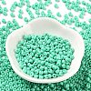 Baking Paint Glass Seed Beads SEED-H002-I-A509-2