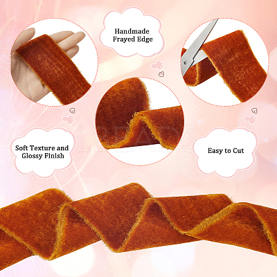 3 Yards Nylon Ribbon with Raw Edge SRIB-WH20020-024B-1