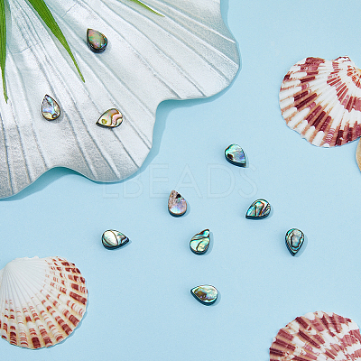 10Pcs Abalone Shell/Paua Shell Beads SSHEL-FI0001-01-1