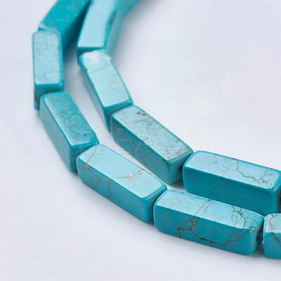 Natural Magnesite Beads Strands TURQ-K003-13-1