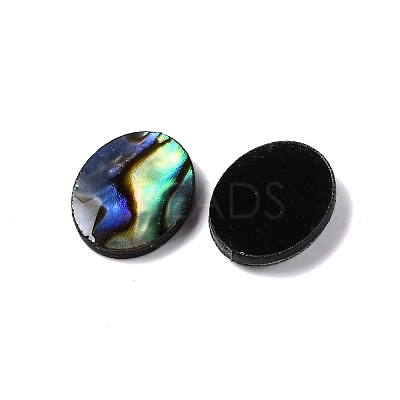 Natural Paua Shell Epoxy Resin Cabochons SSHEL-S279-01G-1