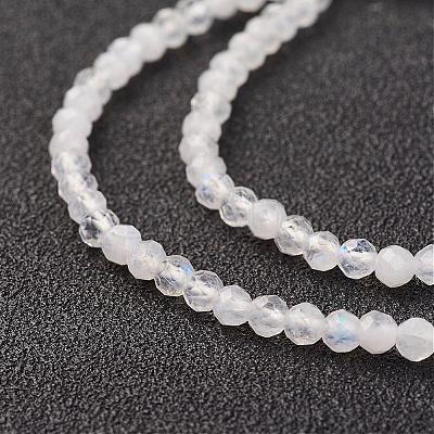 Natural Rainbow Moonstone Bead Strand G-G680-53-1