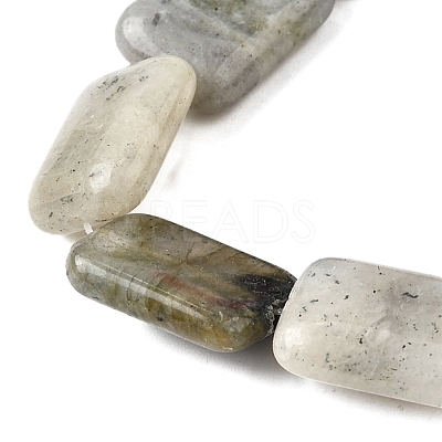 Natural Labradorite Beads Strands G-S386-A03-1