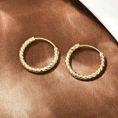 Brass Textured Hoop Earrings EJEW-F378-03B-G-1