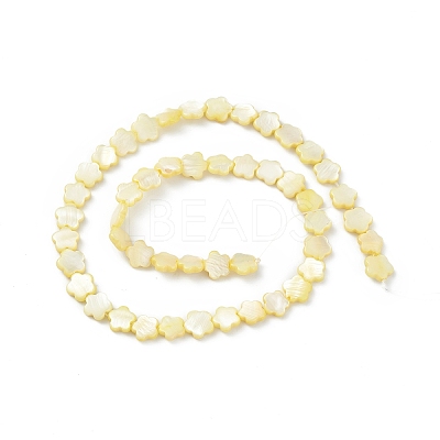 Natural Freshwater Shell Dyed Beads Strands SHEL-K001-001C-1
