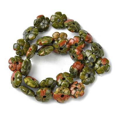 Natural Unakite Beads Strands G-H023-B02-01-1