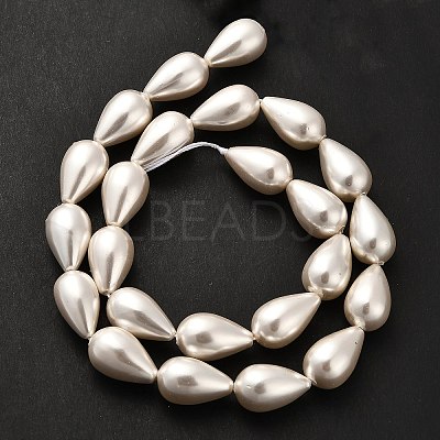 Electroplate Shell Pearl Beads Strands BSHE-G010-10x16mm-01-1