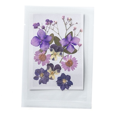 Pressed Dried Flowers DIY-F076-01E-1