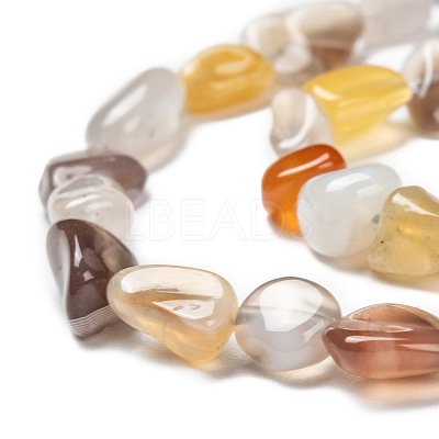 Natural Botswana Agate Beads Strands G-G018-26-1