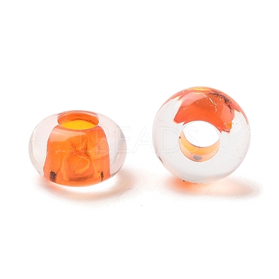 Transparent Acrylic European Beads TACR-P009-C01-09-1