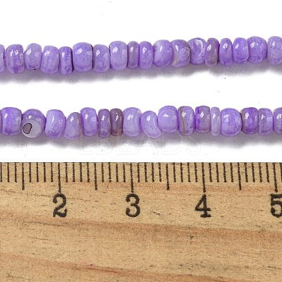 Dyed Natural Freshwater Shell Beads Strands BSHE-G039-07B-1