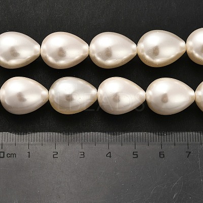 Electroplate Shell Pearl Beads Strands BSHE-G010-14x18mm-01-1