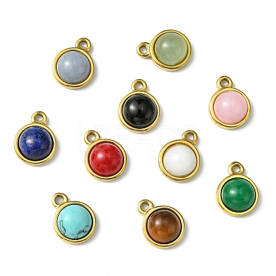 10Pcs 10 Styles Mixed Gemstone Half Round Charms G-CJ0001-81-1