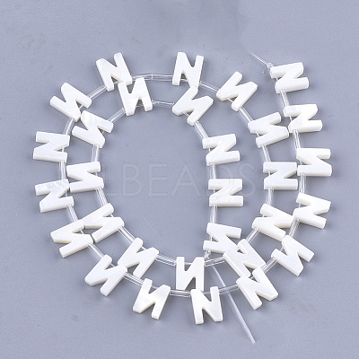 Natural Freshwater Shell Beads SHEL-T012-59N-1
