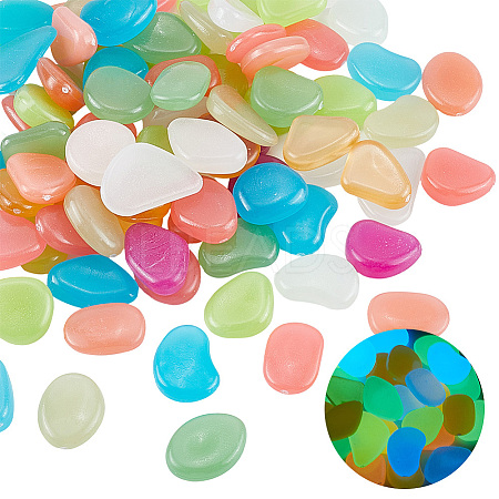 1 Set Resin Luminous Glow in the Dark Pebbles Stone DJEW-CN0001-40A-1