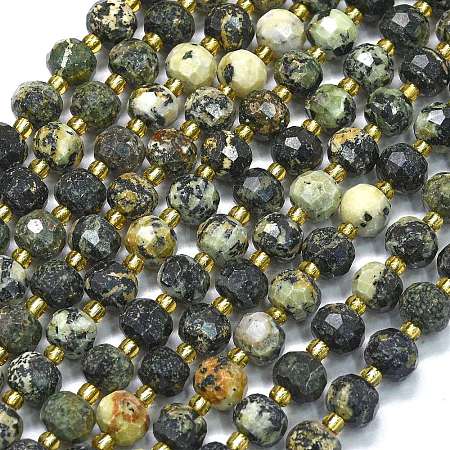 Natural African Turquoise(Jasper) Beads Strands G-K389-E71-01-1