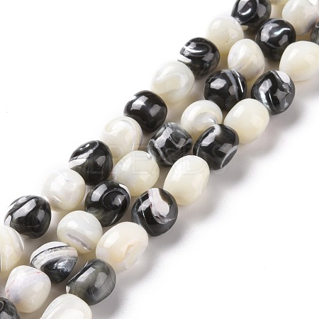 Natural Trochid Shell Beads Strands SSHEL-G023-04C-1