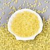 FGB Frosted Transparent Glass Seed Beads SEED-N013-05A-02-2