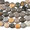 Natural Picasso Jasper Beads Strands G-L648-B03-15mm-5
