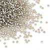 MIYUKI Round Rocailles Beads SEED-G007-RR2433-1