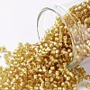 TOHO Round Seed Beads SEED-JPTR11-0022BF-1