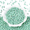 FGB Opaque Colours Glass Seed Beads SEED-Q040-07A-A05-2