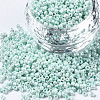12/0 Glass Seed Beads SEED-S060-A-973-1