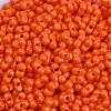 Baking Paint Glass Seed Beads X1-SEED-K010-A10-2