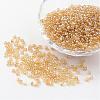 Round 8/0 Glass Seed Beads X-SEED-A006-3mm-102B-1