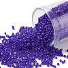 TOHO Round Seed Beads SEED-XTR15-0048-1