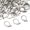 Tarnish Resistant 316L Surgical Stainless Steel Leverback Earring Findings STAS-E194-03P-2