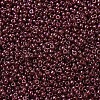 MIYUKI Round Rocailles Beads X-SEED-G007-RR1883-3