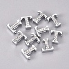 Alloy Slide Charms LS-PALLOY-WH0066-21T-2
