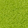 MIYUKI Delica Beads SEED-X0054-DB0766-3