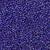 MIYUKI Round Rocailles Beads SEED-X0054-RR0484-3