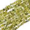 Natural Jade Chip Beads Strands X-G-B160-B02-2